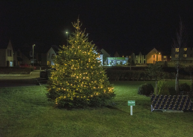 Christmas Tree at Bertha Park, Perth