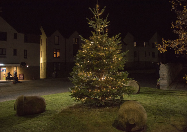 Dykes of Gray Christmas Tree