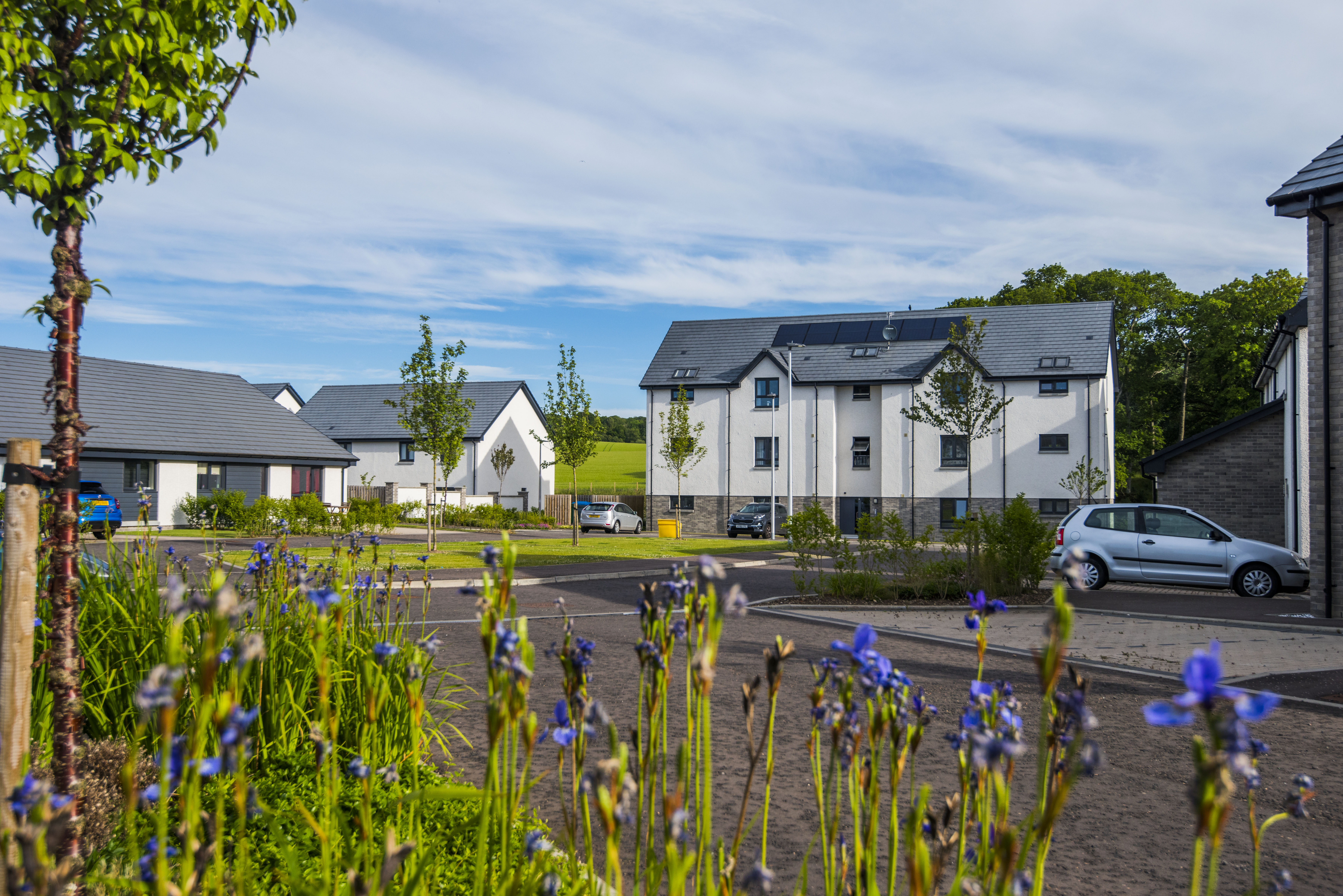 Affordable housing built by Springfield Partnerships at Bertha Park, Perth