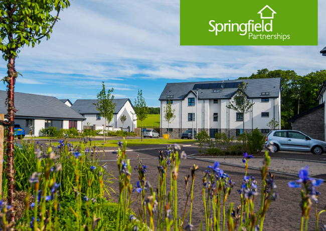 The Springfield Group - Springfield Partnerships