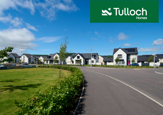 The Springfield Group - Tulloch Homes