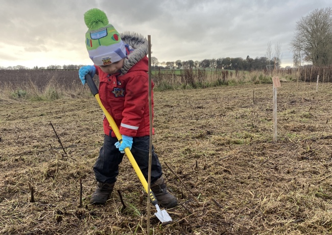 Springfield - Dykes of Gray, Dundee - Tree Planting