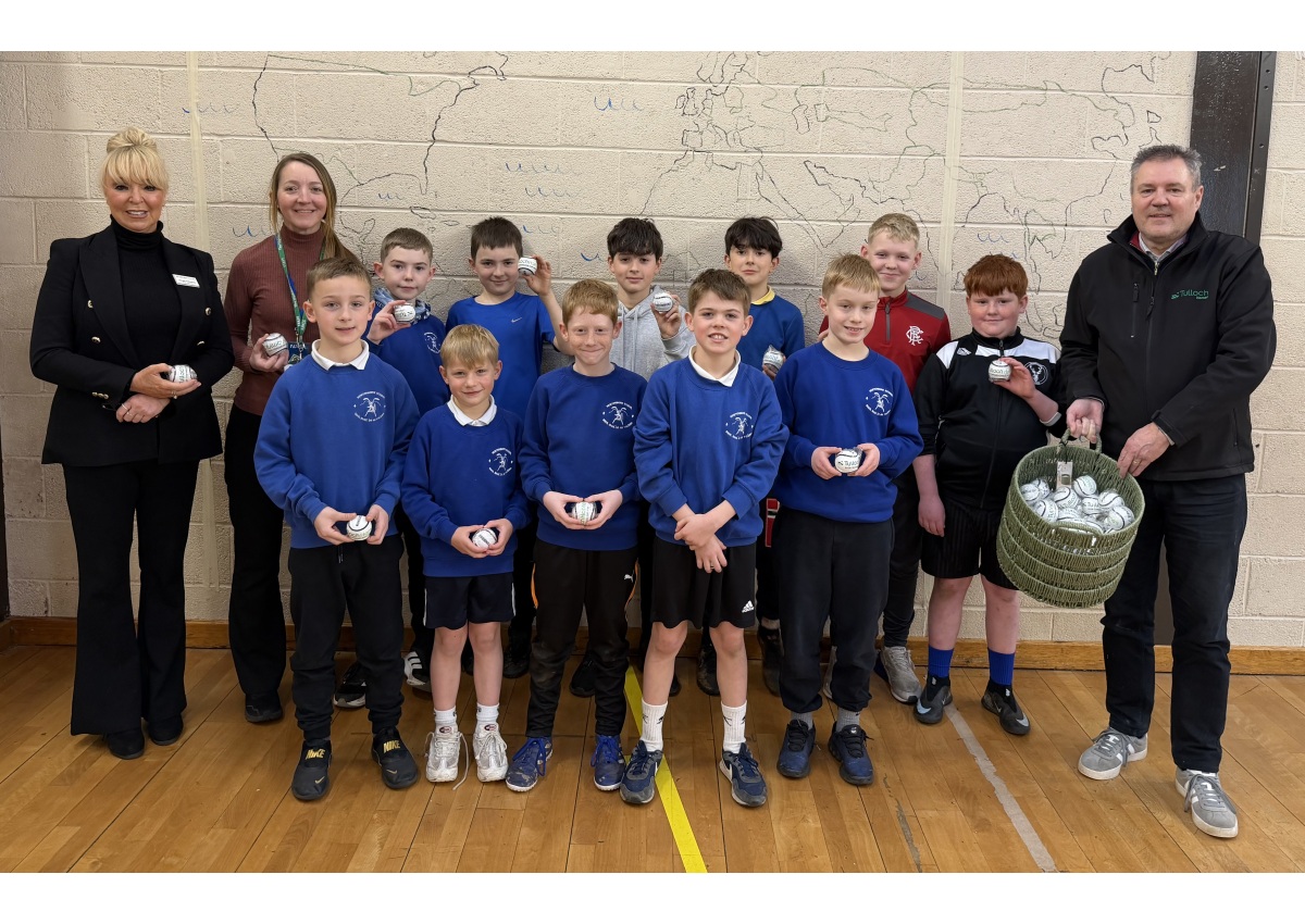 Shinty ball